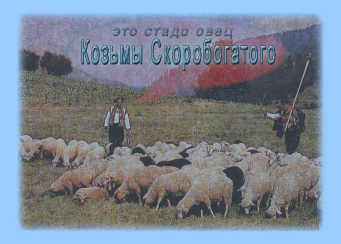 стадо овец Козьмы Скоробогатого
